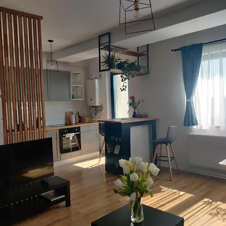 Park Apartment Bucharest